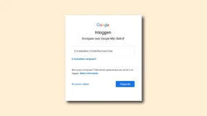 Google Mijn Bedrijf | Toegang verlenen tot een account