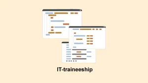 Een IT-traineeship in 2023: alles wat je moet weten