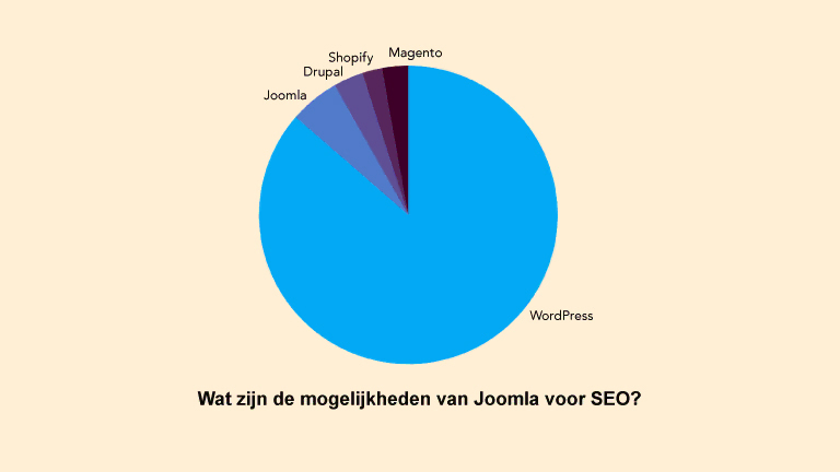 De invloed van een CMS op SEO
