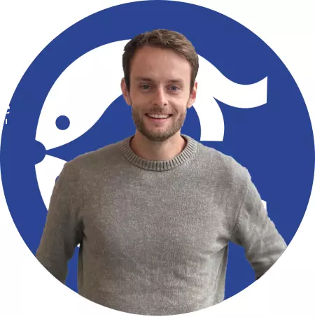 seo-specialist-capelle-aan-den-ijssel